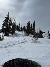 This is about 100 feet below the summit and the old skin track highway from yesterday is still visible. 