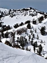 Natural rollerballs off of rocks on Slab Cliffs, E aspect at around 9,500' at 10:50 am.