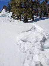 Looking up the small slope that produced the 7 ft diameter pinwheel. 