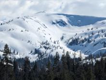 Boarder Bowl receiving strong sunshine but no avalanche activity 