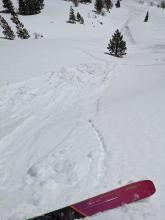 Ski kicks above steep slopes triggered wet loose avalanches several inches deep at 11 am. 