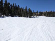 Runnel in a meadow indicating that water is draining through the snowpack. 