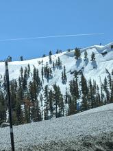 Recent small wet loose avalanche off of Carson Pass