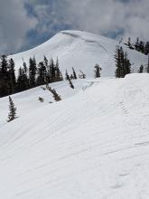 Recent rollerballs on the east aspects of Andesite Peak