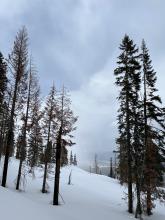 Snow accumulation had mostly ended by the time of my midday tour and brief breaks of blue sky were present