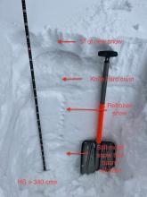 Examining the snow on a north facing slope in a clearing above Echo Lake