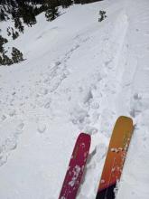 Ski cuts triggered small sluffs of wet snow on steep sunny slopes at 10:30 am.