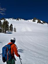 Recent wet loose avalanches on E aspect slopes just to the north of Cathedral Bowl.