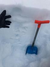 5'' of very wet surface snow on top of a 1F M/F crust 2'' thick.  Below that up to 3' of wet snow.