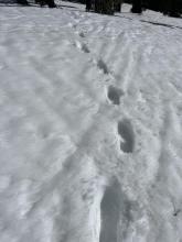 Punchy wet snow along the ridgeline.