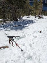 Remains of an old large avalanche, probably from March, that ran through this area.