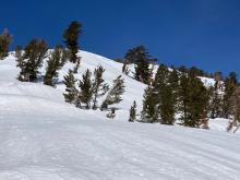 East aspects off of the E ridge of Relay Peak.