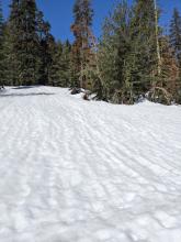 Runnels in the snow surface indicating melt water draining through the snowpack