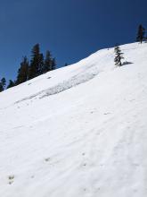 D1 wet loose avalanche triggered by a ski cut above the slope on an ENE aspect @ 11:00 am