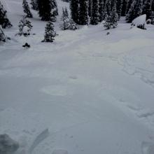 Skier initiated wind/storm slab movement.