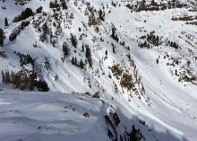 Numerous large loose wet avalanches also ran overnight. 