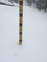 Snow stake on Luther Pass showing less than a foot of snow.