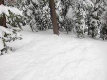 Looking downslope at a skier triggered small slab avalanche.