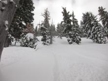 Looking up at skier triggered small slab avalanche.