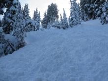 Avalanche debris Carpenter Ridge 