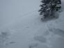 Crown of the avalanche from near the trigger point on a lower angle slope with some small trees.