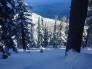 Looking down part of avalanche path.