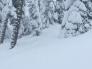 Avalanche debris running through trees.