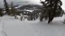 Tree at bottom of chute with snow piled high on it.