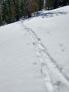 10:45 am: Deep ski penetration in to wet snow on sunny NE aspect terrain around 8,000'.