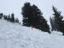 This is the debris field, the arrow marks where the snowboarder had ended up in the tree and was buried up to his waist.  His head and neck were above the snow the whole time, and had no injuries.