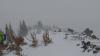 Wind transport and stormy conditions near Carson Pass