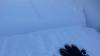 Wind Slab ECTP12